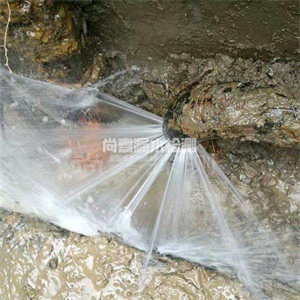 阜宁消防管道漏水检测